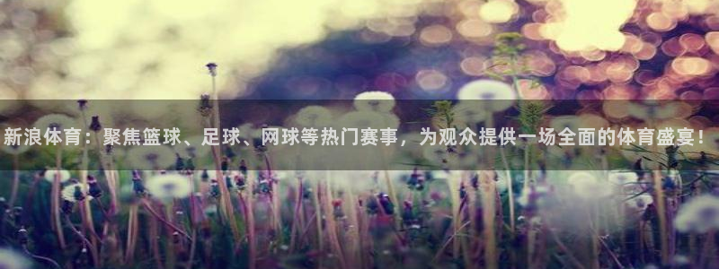 新浪体育：聚焦篮球、足球、网球等热门赛事，为观众提供一场全面的体育盛宴！