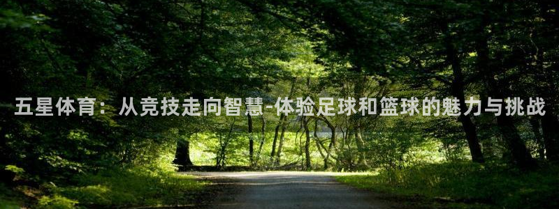 五星体育：从竞技走向智慧-体验足球和篮球的魅力与挑战