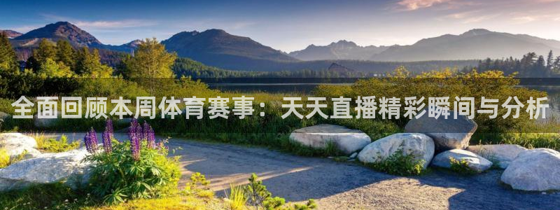 全面回顾本周体育赛事：天天直播精彩瞬间与分析