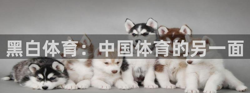 黑白体育：中国体育的另一面