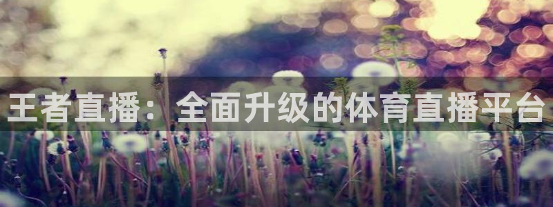 王者直播：全面升级的体育直播平台
