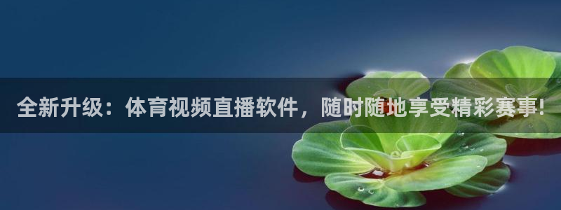 全新升级：体育视频直播软件，随时随地享受精彩赛事!