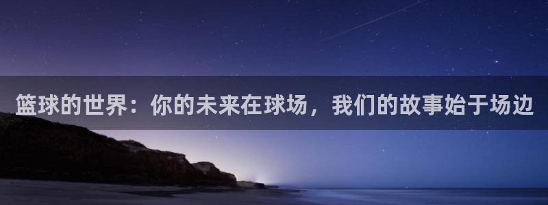 篮球的世界：你的未来在球场，我们的故事始于场边