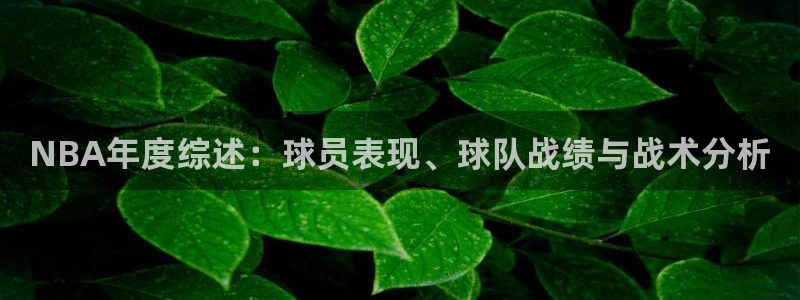 NBA年度综述：球员表现、球队战绩与战术分析