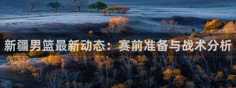 新疆男篮最新动态：赛前准备与战术分析