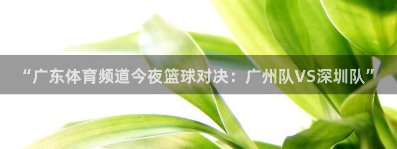 “广东体育频道今夜篮球对决：广州队VS深圳队”
