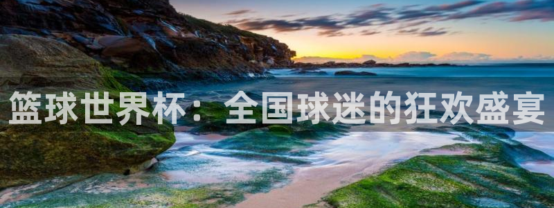 篮球世界杯：全国球迷的狂欢盛宴