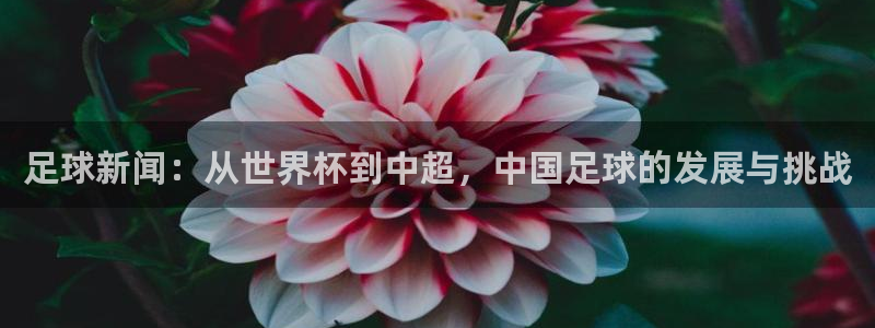足球新闻：从世界杯到中超，中国足球的发展与挑战