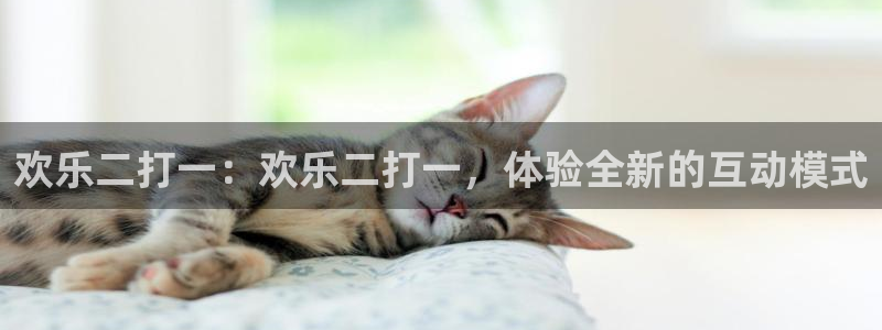 欢乐二打一：欢乐二打一，体验全新的互动模式