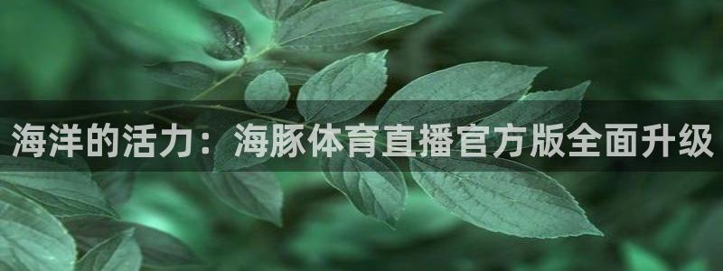 海洋的活力：海豚体育直播官方版全面升级
