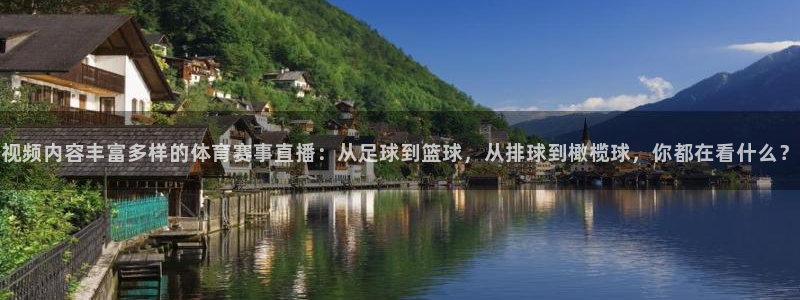 视频内容丰富多样的体育赛事直播：从足球到篮球，从排球到橄榄球，你都在看什么？