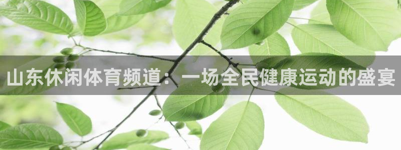 山东休闲体育频道：一场全民健康运动的盛宴