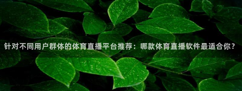 针对不同用户群体的体育直播平台推荐：哪款体育直播软件最适合你？