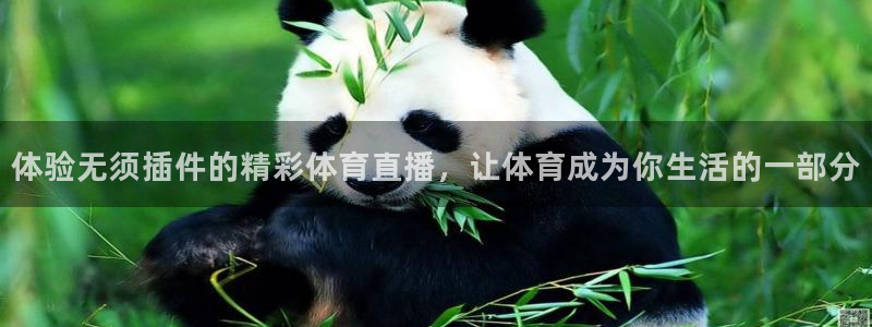 体验无须插件的精彩体育直播，让体育成为你生活的一部分