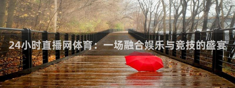 24小时直播网体育：一场融合娱乐与竞技的盛宴