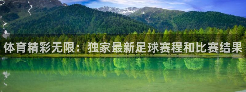 体育精彩无限：独家最新足球赛程和比赛结果