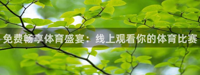 免费畅享体育盛宴：线上观看你的体育比赛