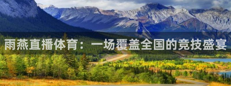 雨燕直播体育：一场覆盖全国的竞技盛宴