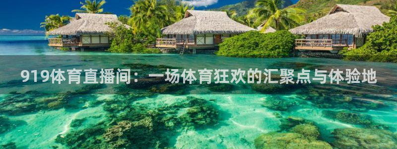 919体育直播间：一场体育狂欢的汇聚点与体验地