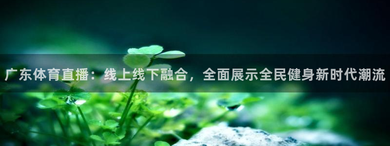 广东体育直播：线上线下融合，全面展示全民健身新时代潮流