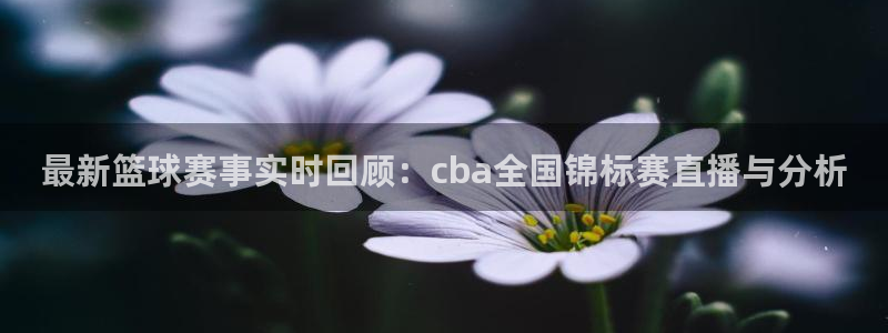 最新篮球赛事实时回顾：cba全国锦标赛直播与分析