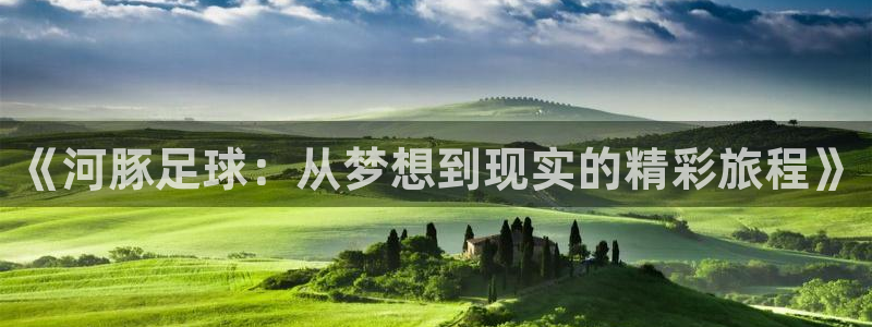 《河豚足球：从梦想到现实的精彩旅程》