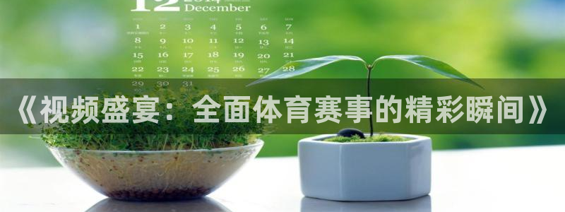 《视频盛宴：全面体育赛事的精彩瞬间》