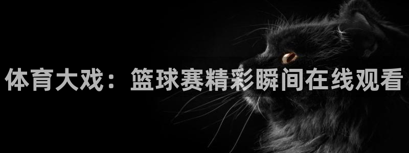 体育大戏：篮球赛精彩瞬间在线观看