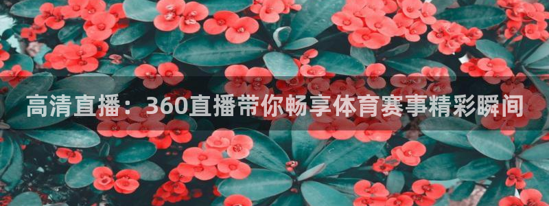 高清直播：360直播带你畅享体育赛事精彩瞬间