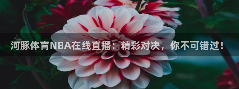 河豚体育NBA在线直播：精彩对决，你不可错过！