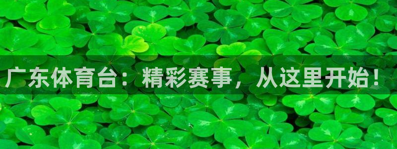 广东体育台：精彩赛事，从这里开始！