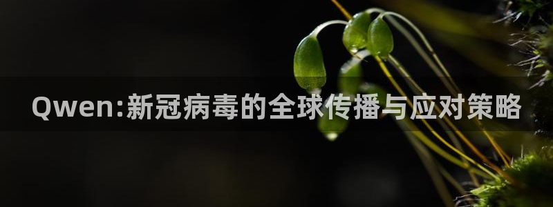 Qwen:新冠病毒的全球传播与应对策略