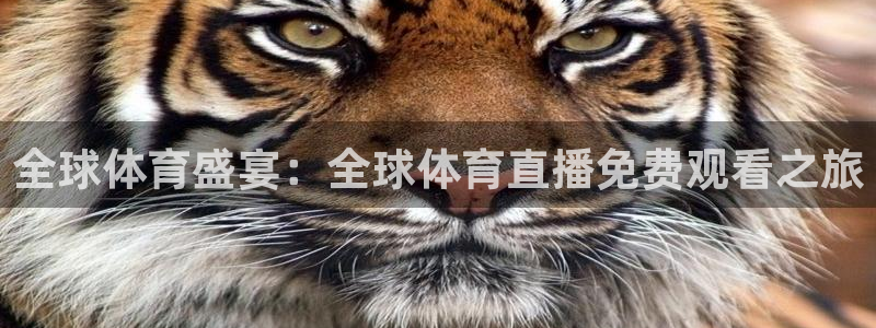 全球体育盛宴：全球体育直播免费观看之旅