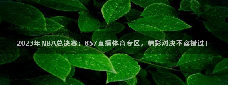 2023年NBA总决赛：857直播体育专区，精彩对决不容错过！