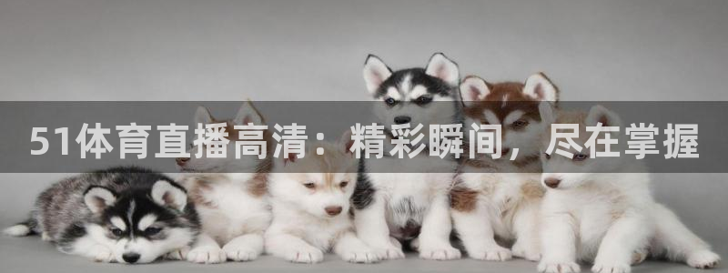 51体育直播高清：精彩瞬间，尽在掌握