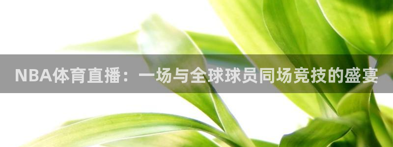 NBA体育直播：一场与全球球员同场竞技的盛宴