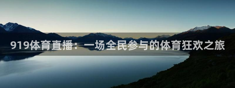 919体育直播：一场全民参与的体育狂欢之旅