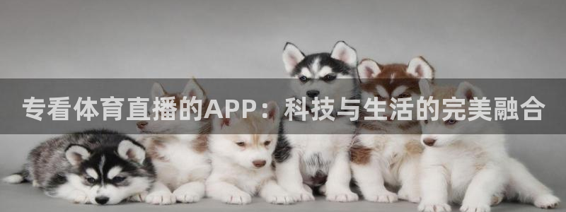 专看体育直播的APP：科技与生活的完美融合