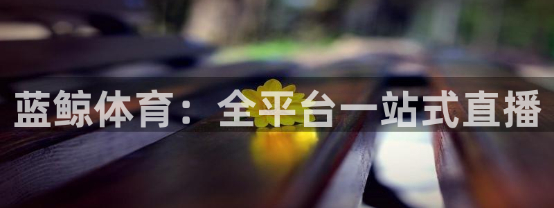 蓝鲸体育：全平台一站式直播