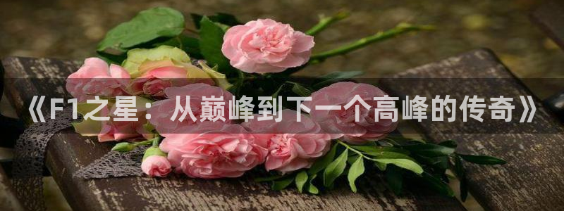 《F1之星：从巅峰到下一个高峰的传奇》