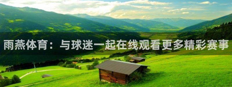 雨燕体育：与球迷一起在线观看更多精彩赛事