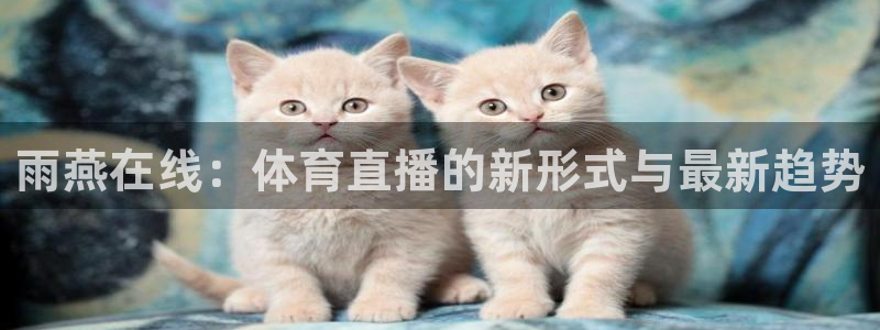 雨燕在线：体育直播的新形式与最新趋势