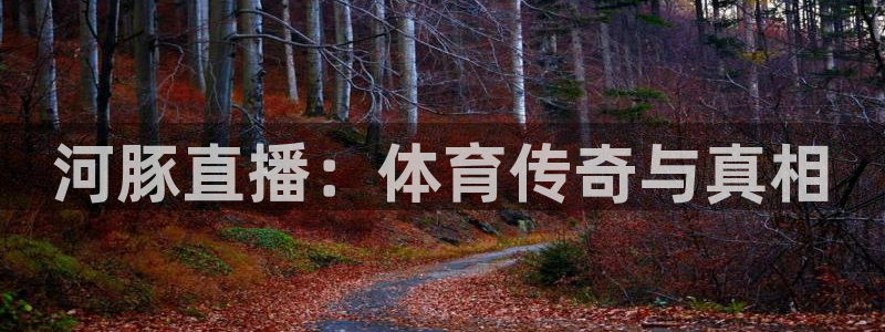 河豚直播：体育传奇与真相