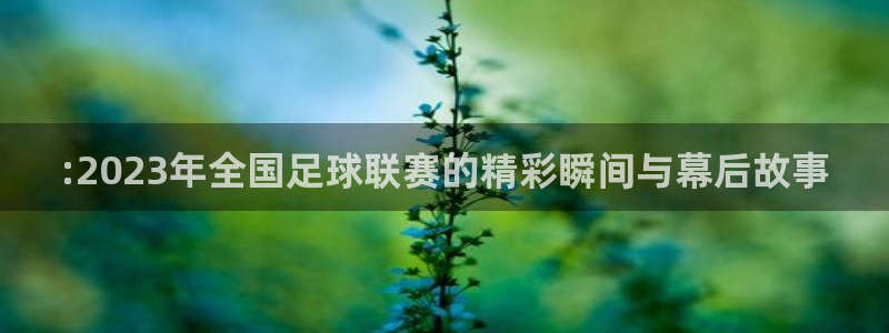 :2023年全国足球联赛的精彩瞬间与幕后故事