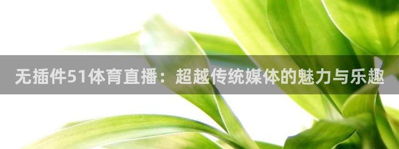 无插件51体育直播：超越传统媒体的魅力与乐趣