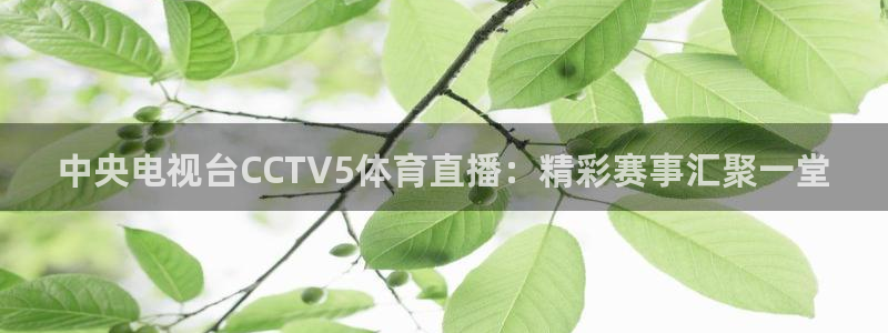 中央电视台CCTV5体育直播：精彩赛事汇聚一堂