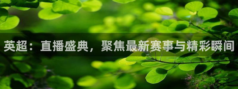 英超：直播盛典，聚焦最新赛事与精彩瞬间