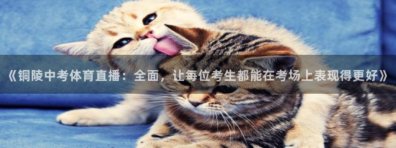 《铜陵中考体育直播：全面，让每位考生都能在考场上表现得更好》