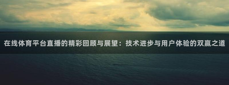 在线体育平台直播的精彩回顾与展望：技术进步与用户体验的双赢之道