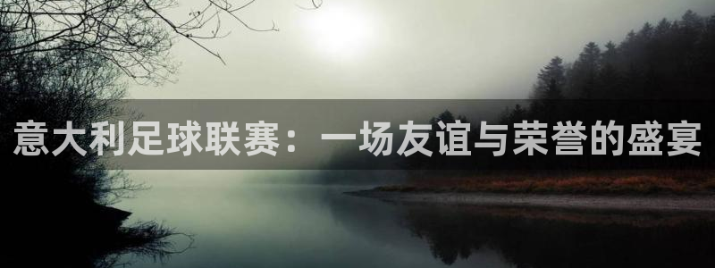 意大利足球联赛：一场友谊与荣誉的盛宴